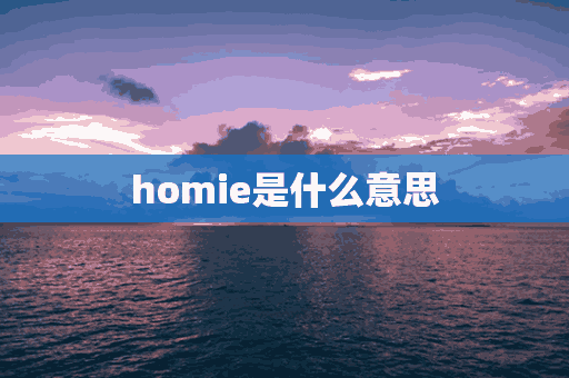 homie是什么意思(homies是什么意思中文)